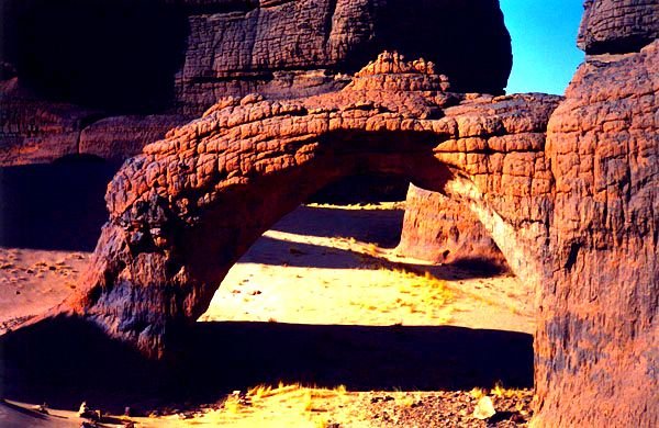 Photograph