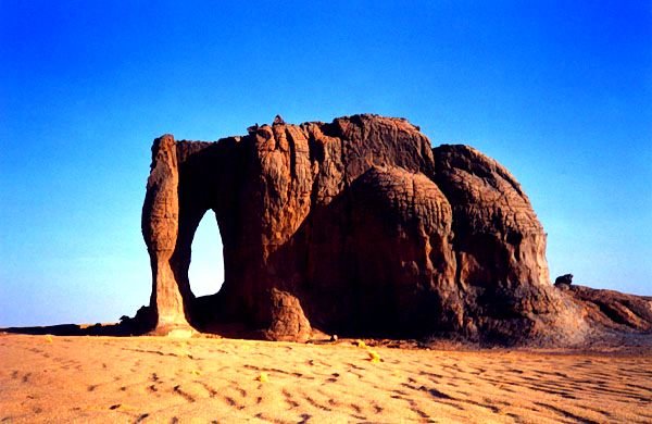 Photograph
