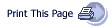 Print This Page